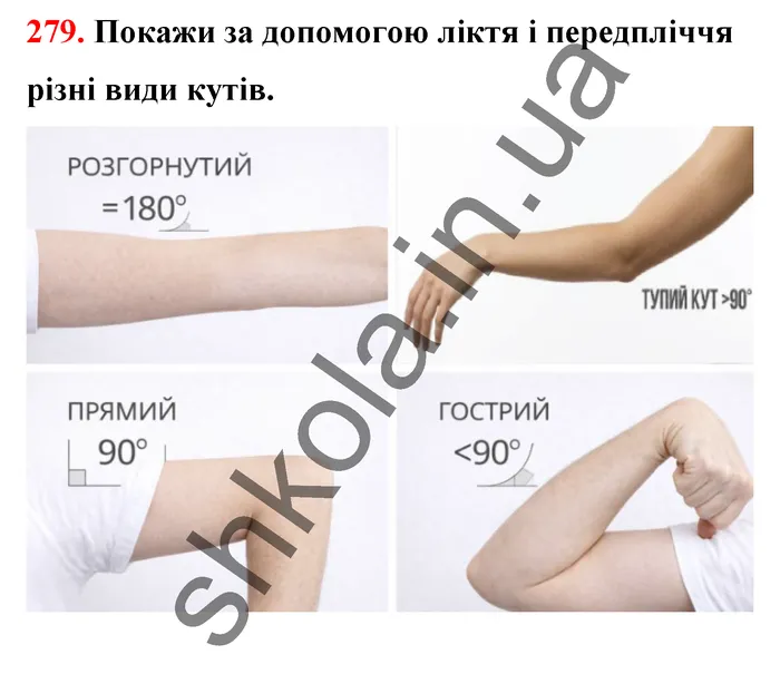 Відповідь до завдання № 279 - ГДЗ Математика 5 клас Бевз 2022